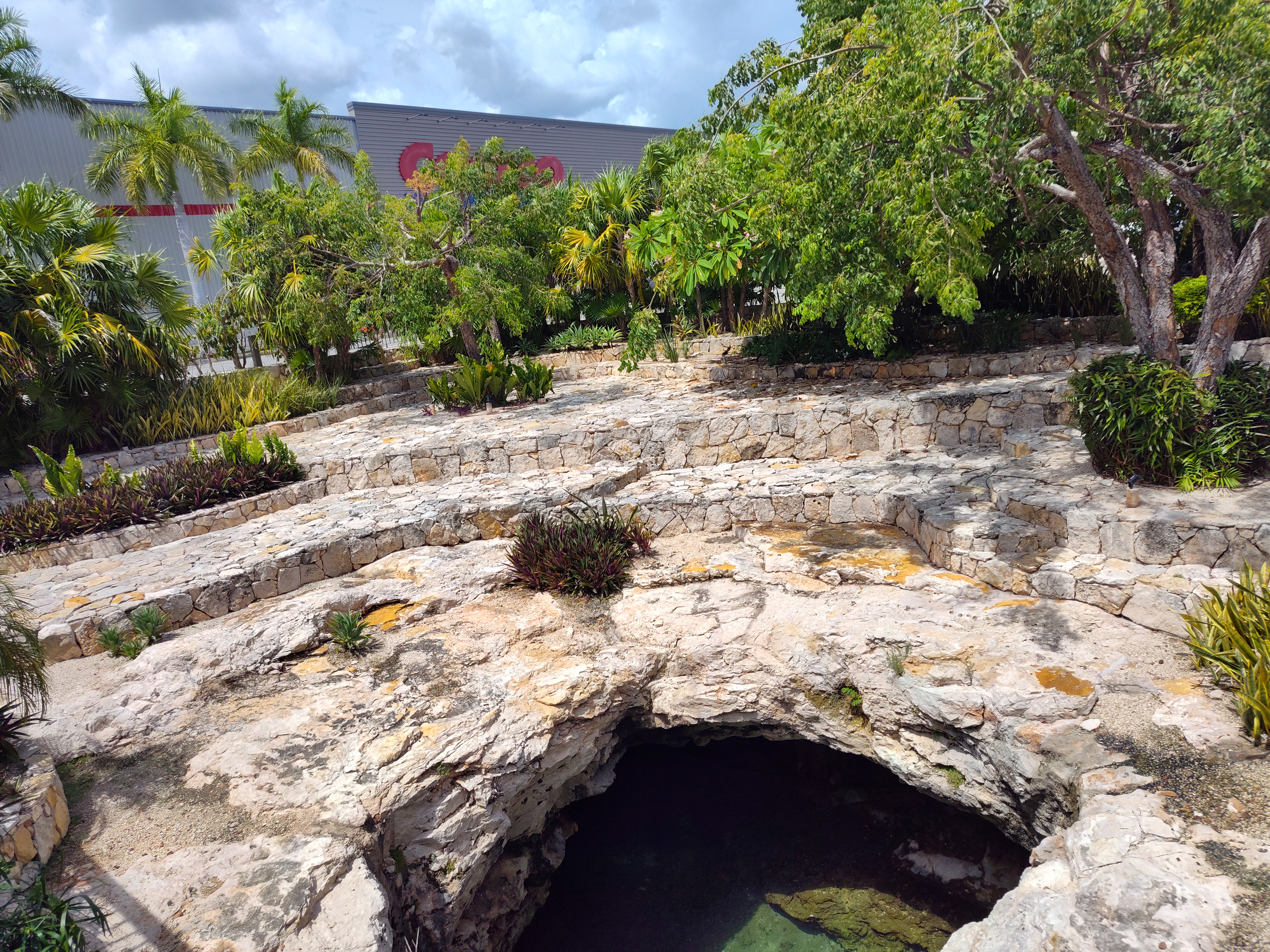 Underground cenote with rocky formations and lush vegetation